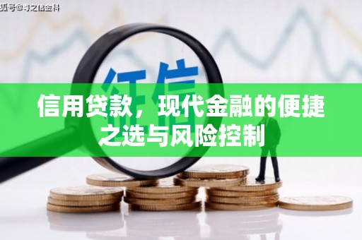 蔡甸信用贷款，现代金融的便捷之选与风险控制
