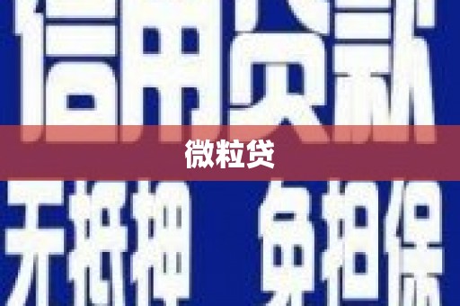蔡甸微粒贷