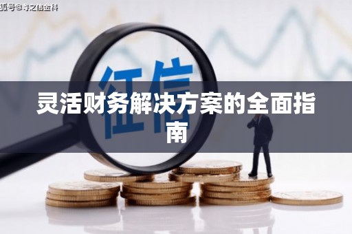 蔡甸灵活财务解决方案的全面指南
