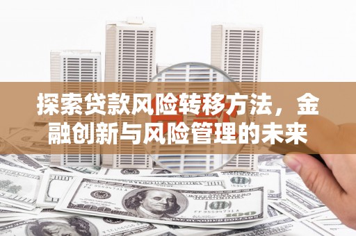 蔡甸探索贷款风险转移方法，金融创新与风险管理的未来