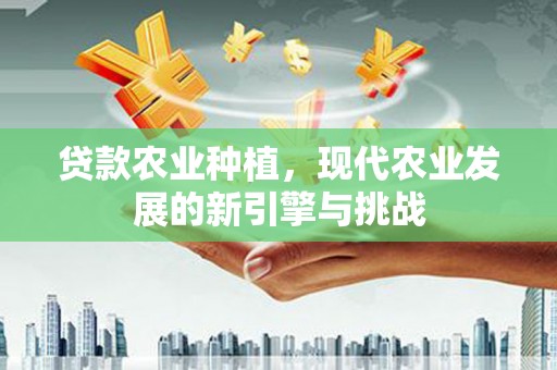 蔡甸贷款农业种植，现代农业发展的新引擎与挑战