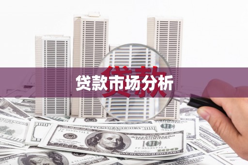 蔡甸贷款市场分析