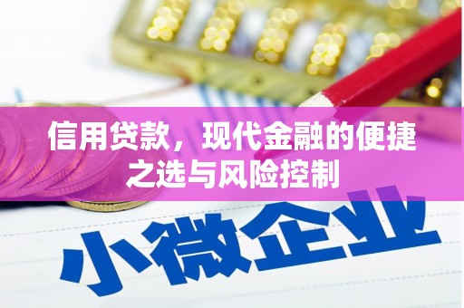 蔡甸信用贷款，现代金融的便捷之选与风险控制
