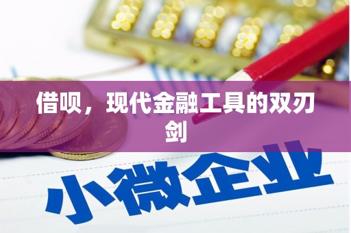 蔡甸借呗，现代金融工具的双刃剑