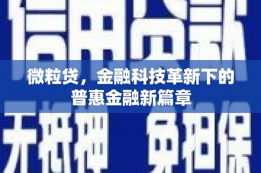 蔡甸微粒贷，金融科技革新下的普惠金融新篇章