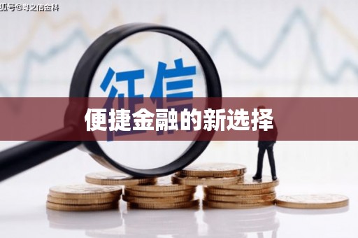 蔡甸便捷金融的新选择