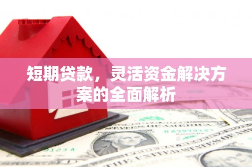 蔡甸短期贷款，灵活资金解决方案的全面解析