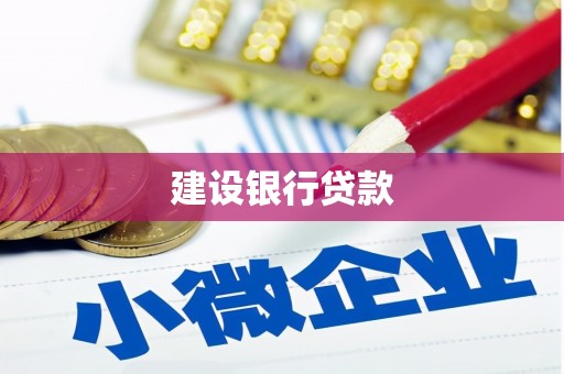 蔡甸建设银行贷款