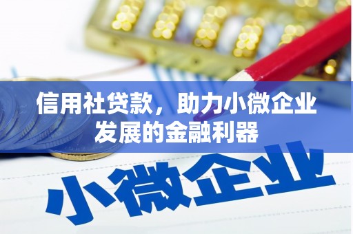 蔡甸信用社贷款，助力小微企业发展的金融利器