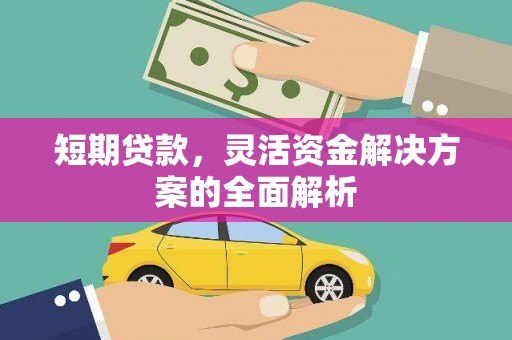 蔡甸短期贷款，灵活资金解决方案的全面解析
