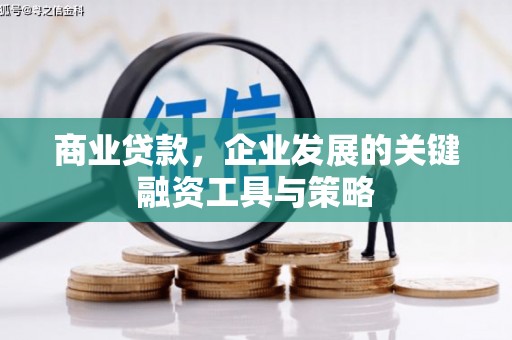 蔡甸商业贷款，企业发展的关键融资工具与策略