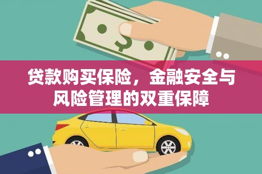 蔡甸贷款购买保险，金融安全与风险管理的双重保障