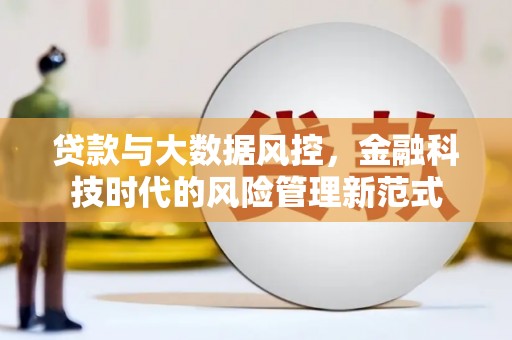 蔡甸贷款与大数据风控，金融科技时代的风险管理新范式
