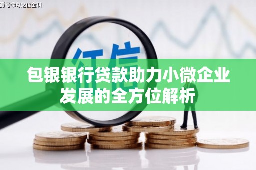 蔡甸包银银行贷款助力小微企业发展的全方位解析