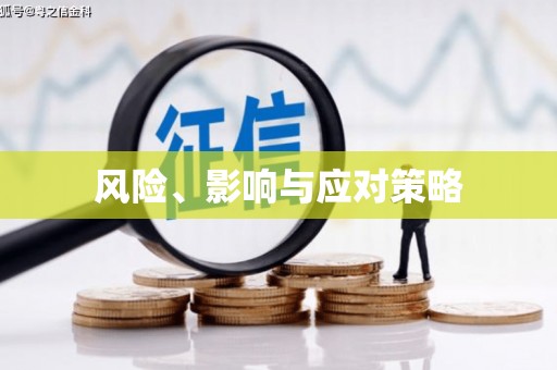 蔡甸风险、影响与应对策略