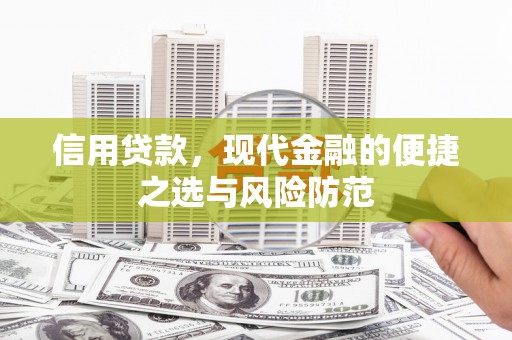 蔡甸信用贷款，现代金融的便捷之选与风险防范