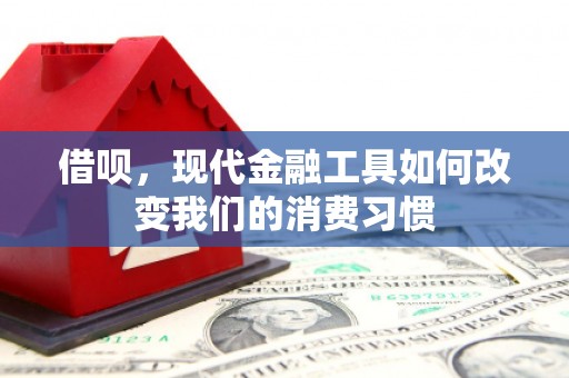 蔡甸借呗，现代金融工具如何改变我们的消费习惯