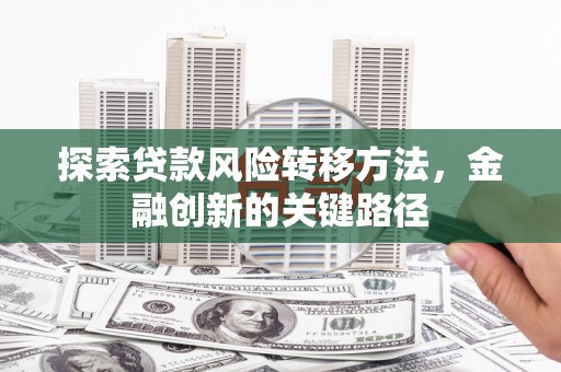 蔡甸探索贷款风险转移方法，金融创新的关键路径