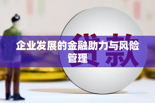 蔡甸企业发展的金融助力与风险管理