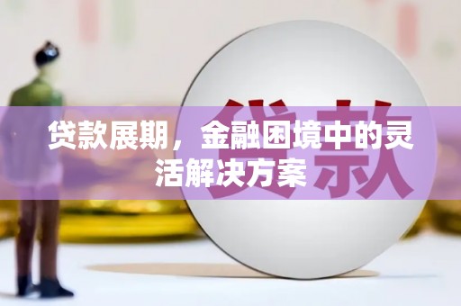蔡甸贷款展期，金融困境中的灵活解决方案