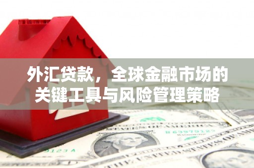 蔡甸外汇贷款，全球金融市场的关键工具与风险管理策略