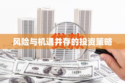 蔡甸风险与机遇并存的投资策略