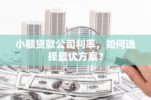 蔡甸小额贷款公司利率，如何选择最优方案？