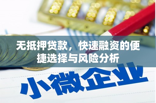 蔡甸无抵押贷款，快速融资的便捷选择与风险分析
