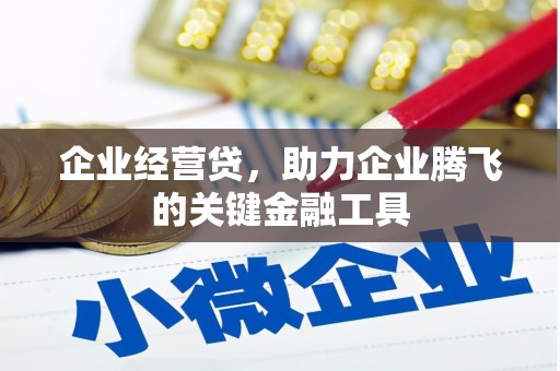 蔡甸企业经营贷，助力企业腾飞的关键金融工具