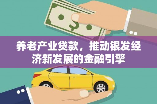蔡甸养老产业贷款，推动银发经济新发展的金融引擎