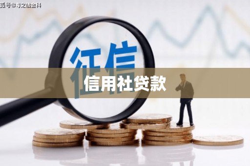 蔡甸信用社贷款