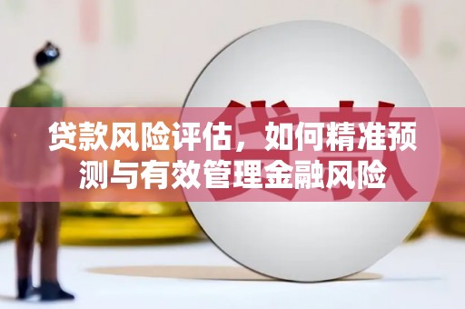 蔡甸贷款风险评估，如何精准预测与有效管理金融风险