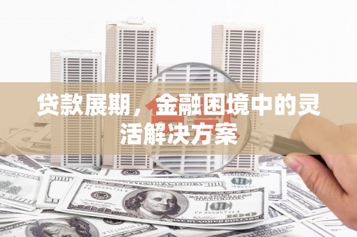 蔡甸贷款展期，金融困境中的灵活解决方案