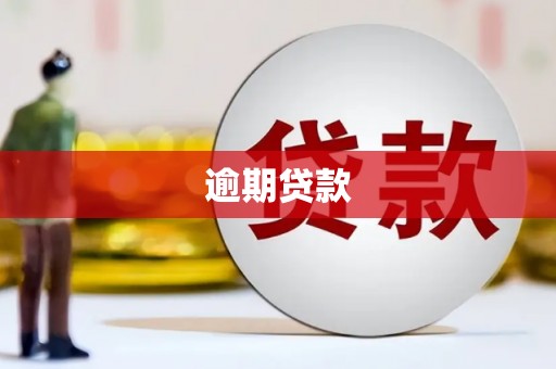蔡甸逾期贷款