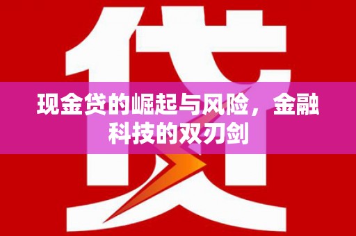 蔡甸现金贷的崛起与风险，金融科技的双刃剑
