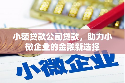 蔡甸小额贷款公司贷款，助力小微企业的金融新选择