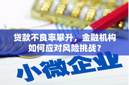蔡甸贷款不良率攀升，金融机构如何应对风险挑战？