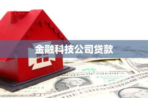蔡甸金融科技公司贷款