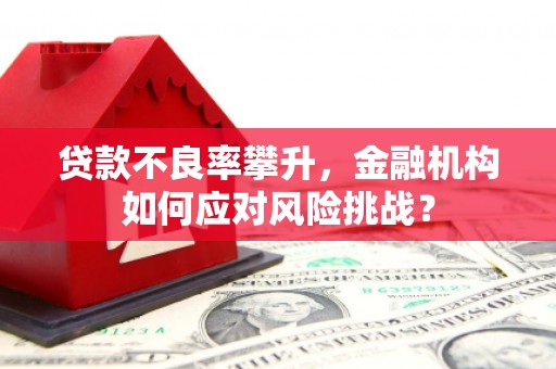 蔡甸贷款不良率攀升，金融机构如何应对风险挑战？