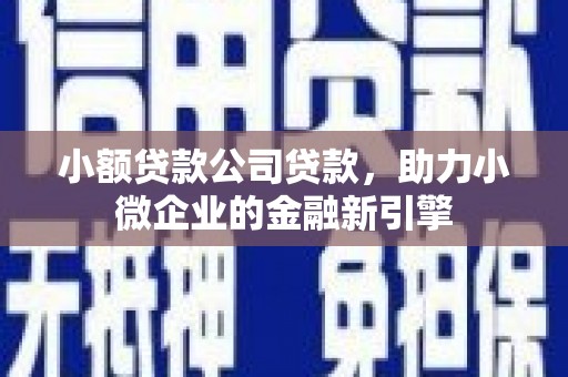 蔡甸小额贷款公司贷款，助力小微企业的金融新引擎