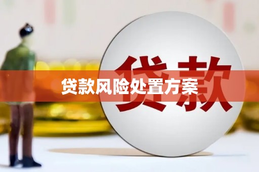 蔡甸贷款风险处置方案