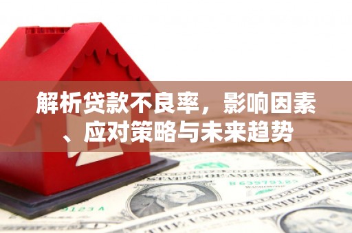 蔡甸解析贷款不良率，影响因素、应对策略与未来趋势