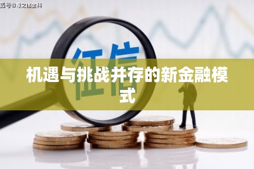 蔡甸机遇与挑战并存的新金融模式