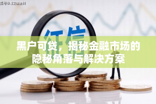 蔡甸黑户可贷，揭秘金融市场的隐秘角落与解决方案