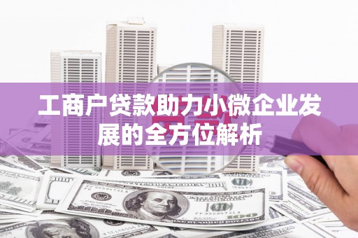 蔡甸工商户贷款助力小微企业发展的全方位解析
