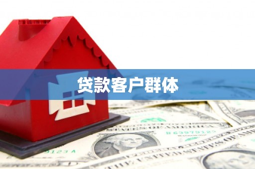 蔡甸贷款客户群体