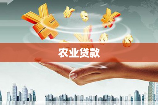 蔡甸农业贷款