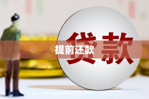 蔡甸提前还款