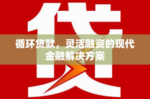 蔡甸循环贷款，灵活融资的现代金融解决方案