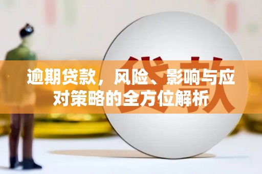 蔡甸逾期贷款，风险、影响与应对策略的全方位解析